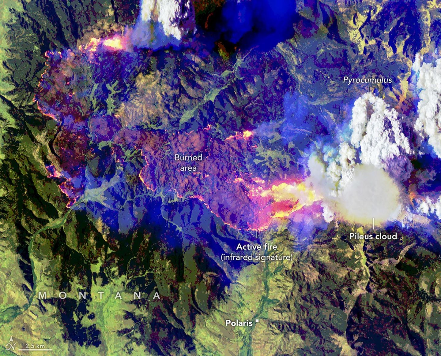 航天图片资料 · False-color aerial image of the same wildfire. Active fire fronts appear bright pink, magenta, and yellow around a large brown burned area. A towering white pyrocumulus cloud rises from the fire at right. A smooth, thin pileus cloud obscures part of its top.