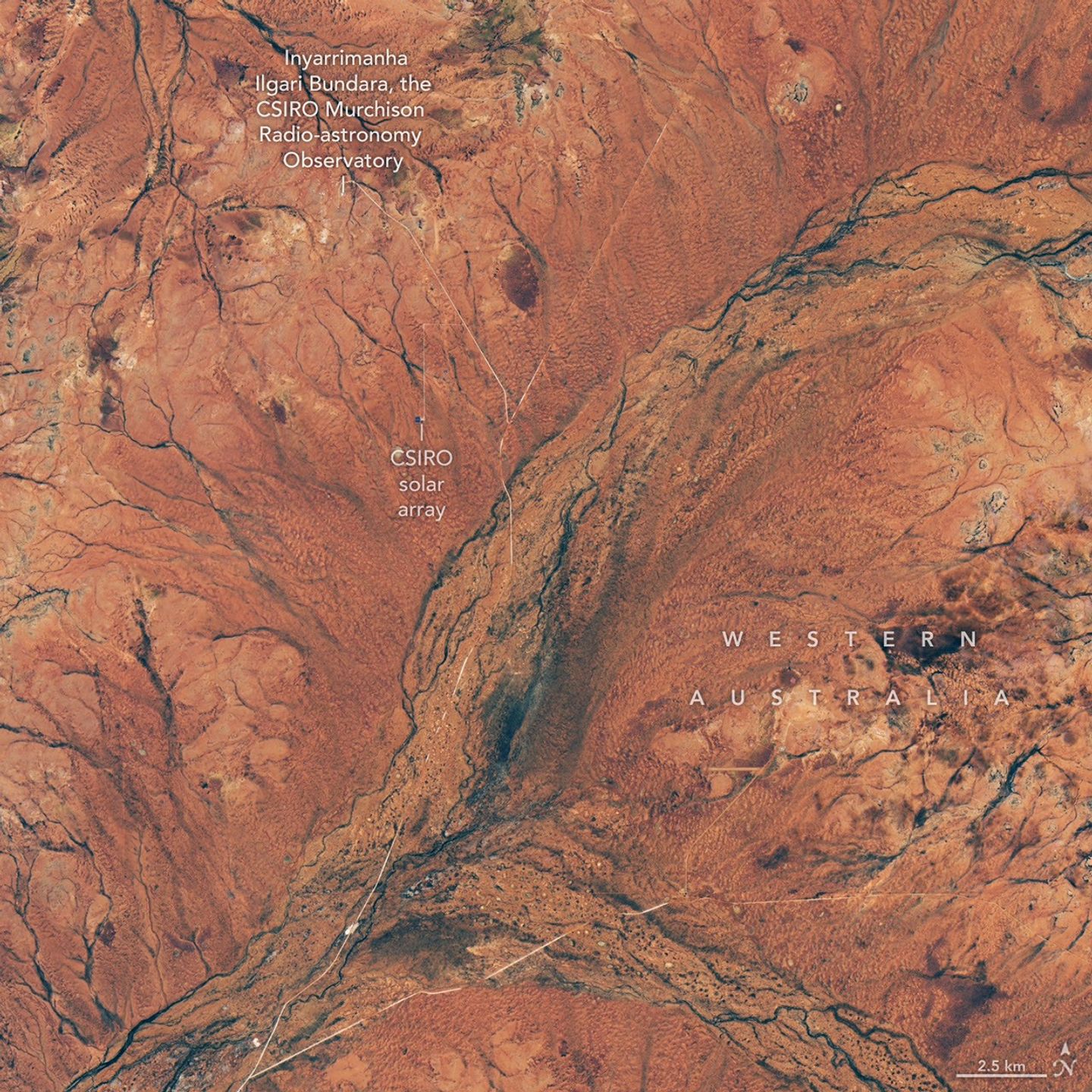航天图片资料 · Branching riverbeds and roads cut through rusty orange land in the Western Australian outback.