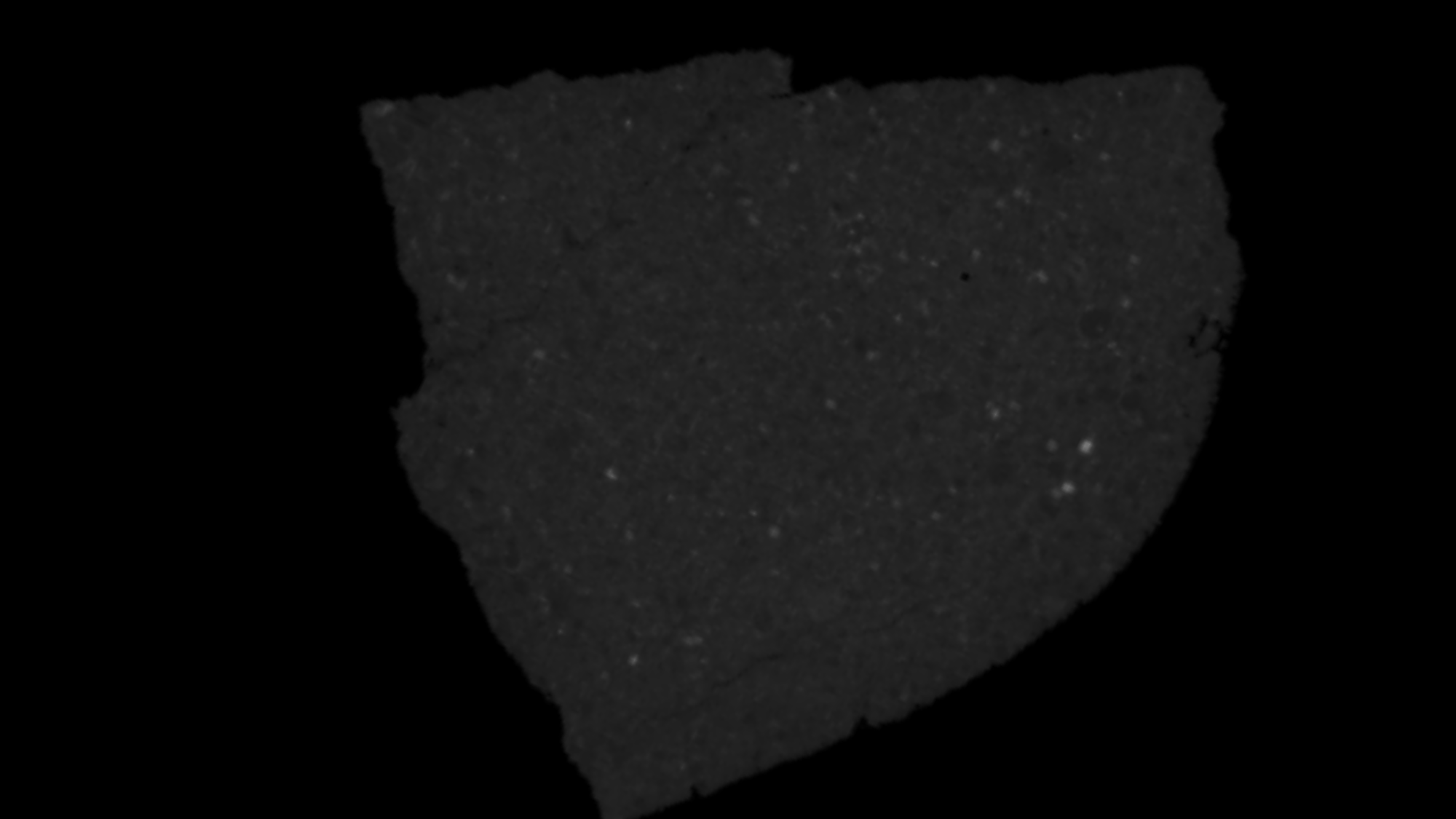 航天图片资料 · An X-ray image of the Antarctic meteorite DOM 08006 discovered in 2008