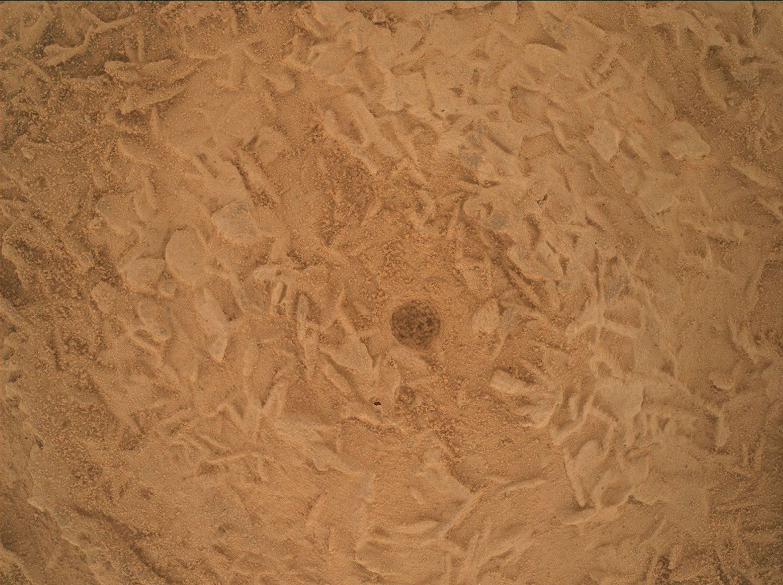航天图片资料 · A close-up view of a dusty, reddish-brown Martian rock surface taken by the Curiosity rover. The surface is highly textured, covered with a complex network of small, raised, intersecting ridges that resemble tiny blades or crystals buried under a fine layer of sand. Right in the center of the frame is a small, distinct, dark circular hole.