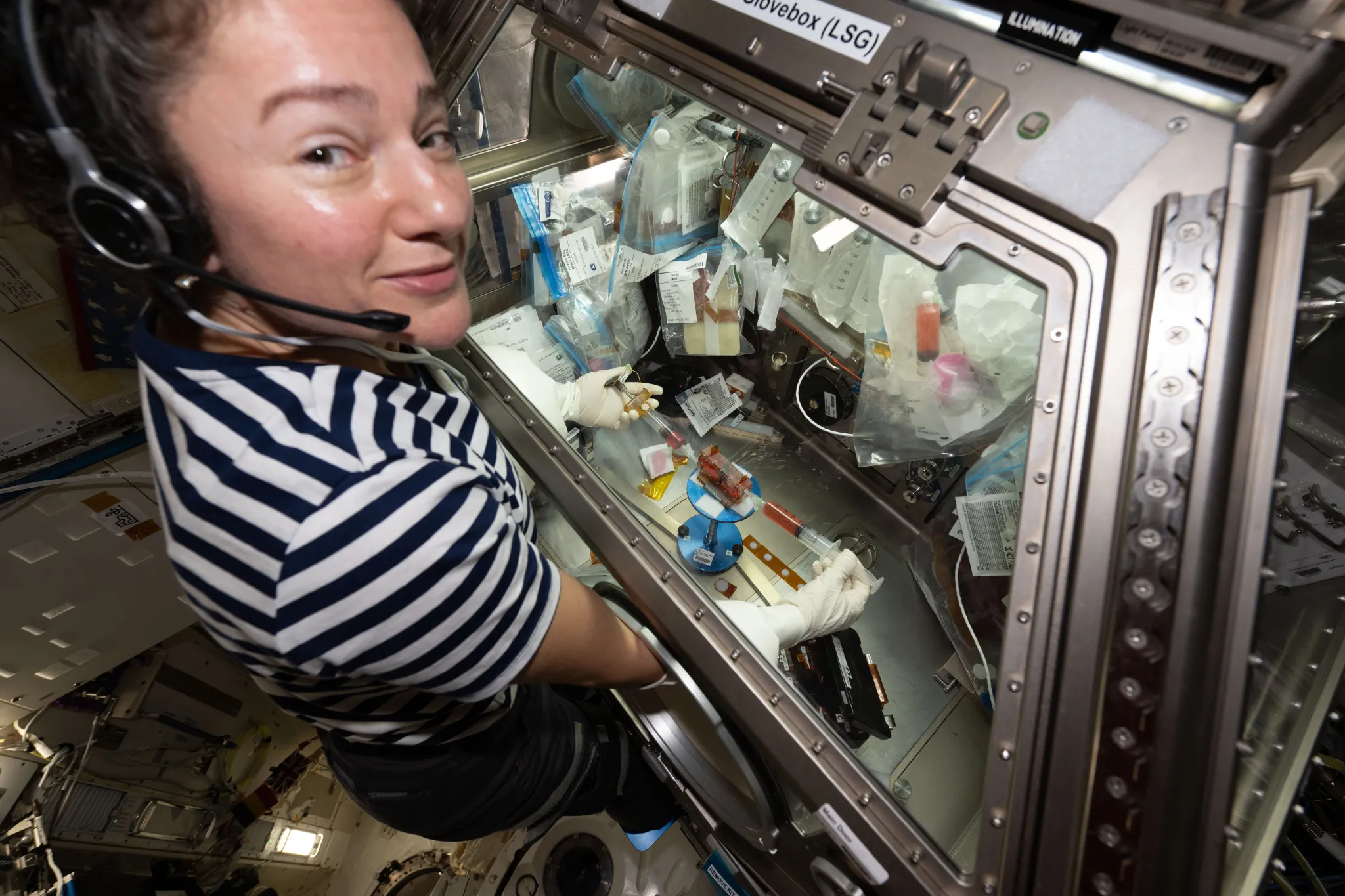 航天图片资料 · NASA astronaut Jessica Meir works in the Life Sciences Glovebox aboard the International Space Station. She inserts her hands into the glovebox’s built-in white gloves to handle research materials inside the enclosed metallic workspace, where clear plastic bags, small containers, and other experiment materials surround her hands.