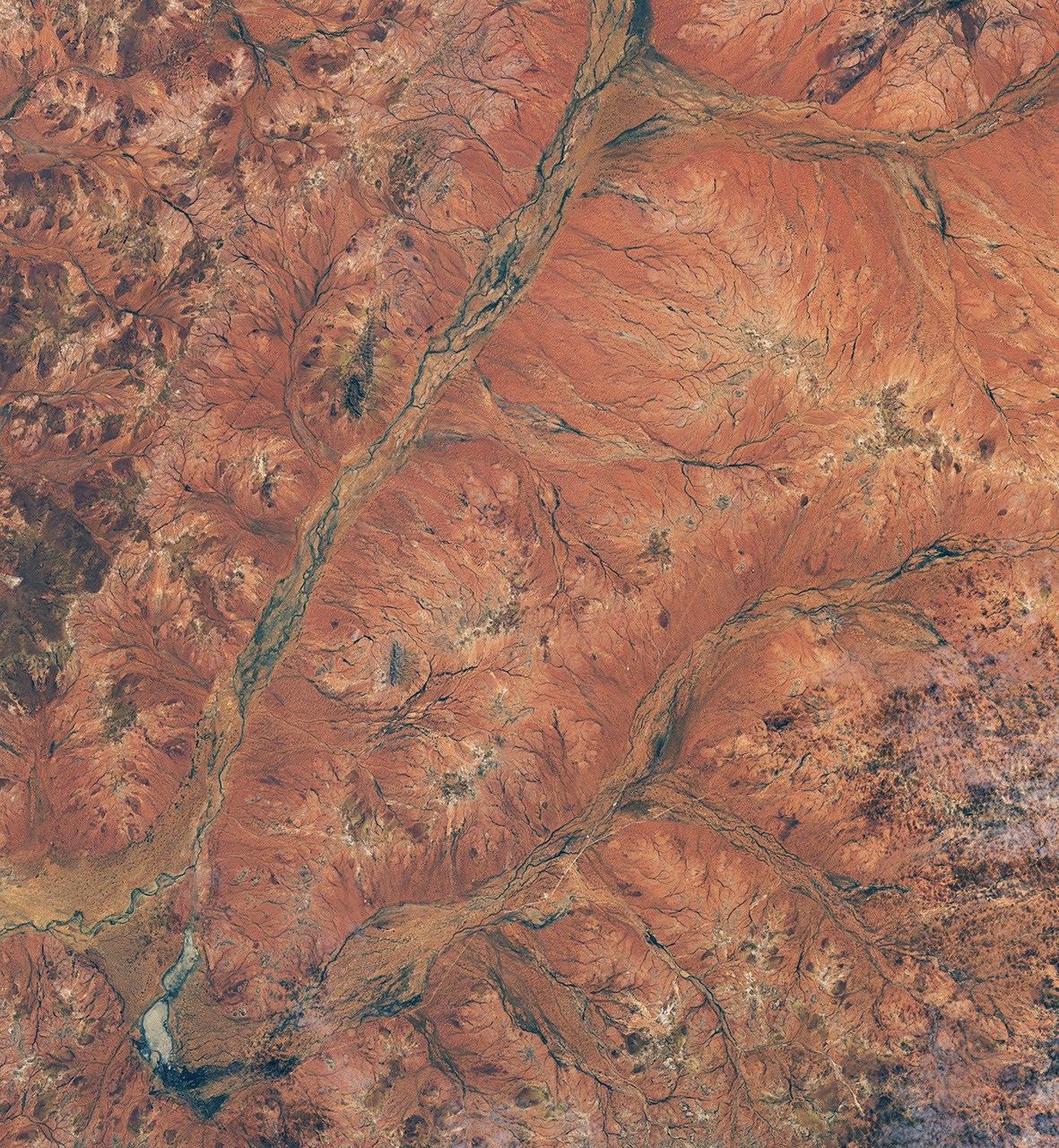 航天图片资料 · Branching riverbeds and roads cut through rusty orange land in the Western Australian outback.