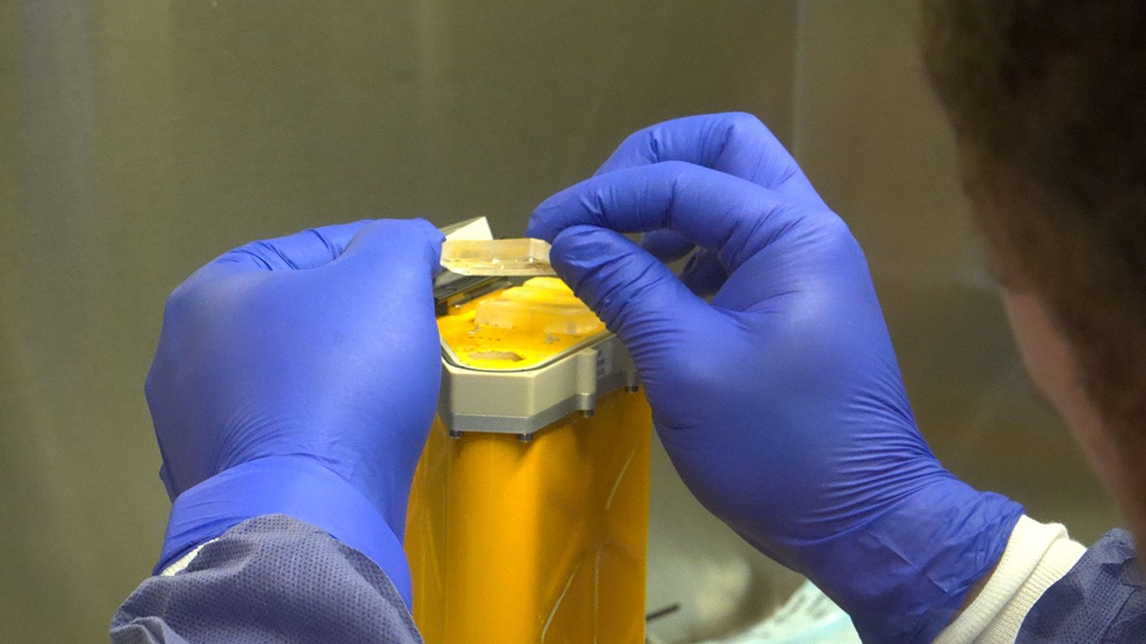 航天图片资料 · A person wearing blue gloves holds a small cylindrical organ chip.
