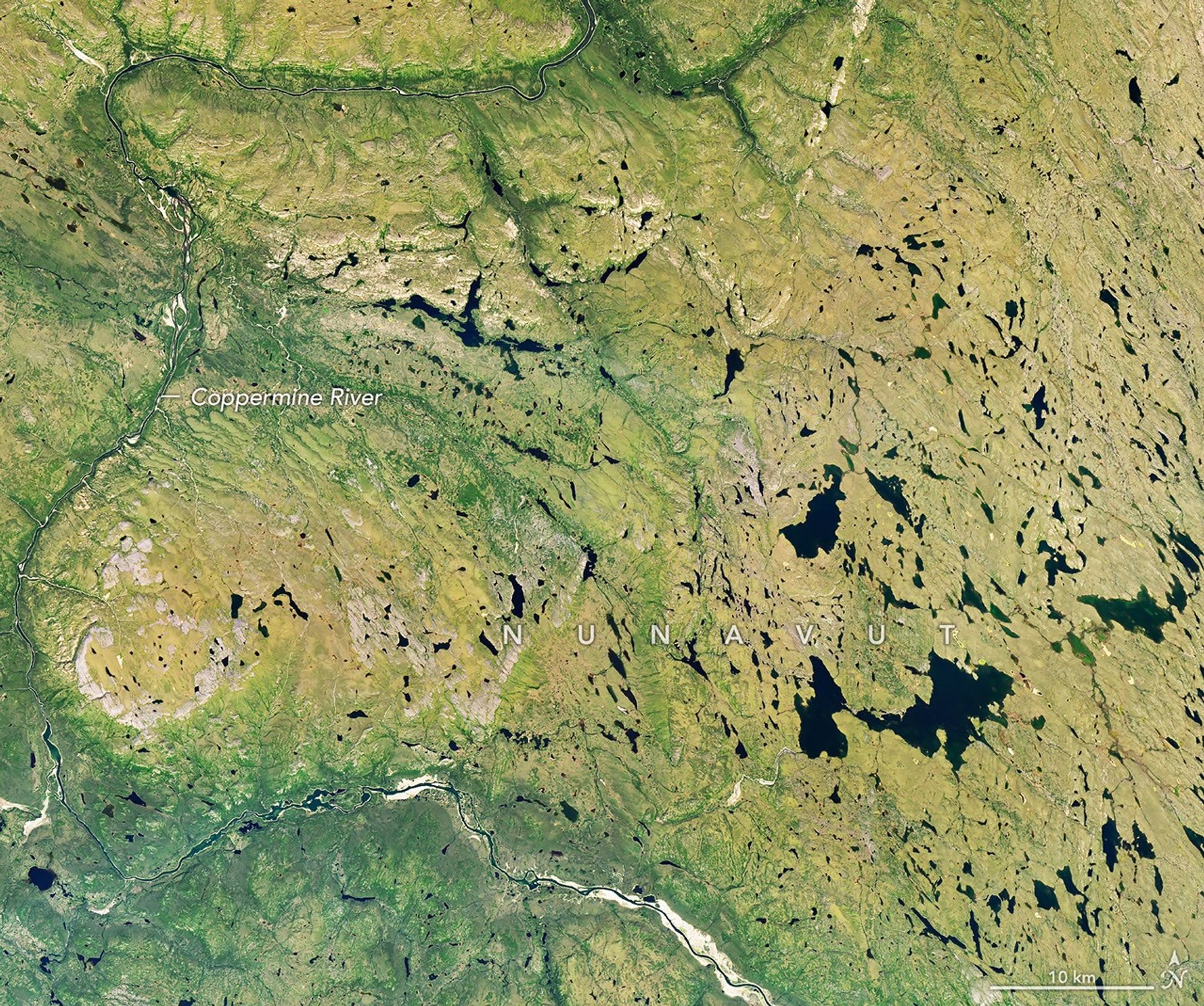 航天图片资料 · A river winds through a mostly green tundra landscape in summer, dotted with numerous lakes.