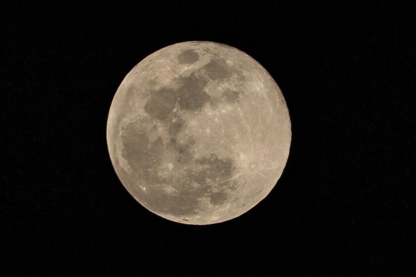 航天图片资料 · Los Angeles, CA - February 01: The Snow Moon from Koreatown on Sunday, Feb. 1, 2026 in Los Angeles, CA. (Jason Armond / Los Angeles Times)