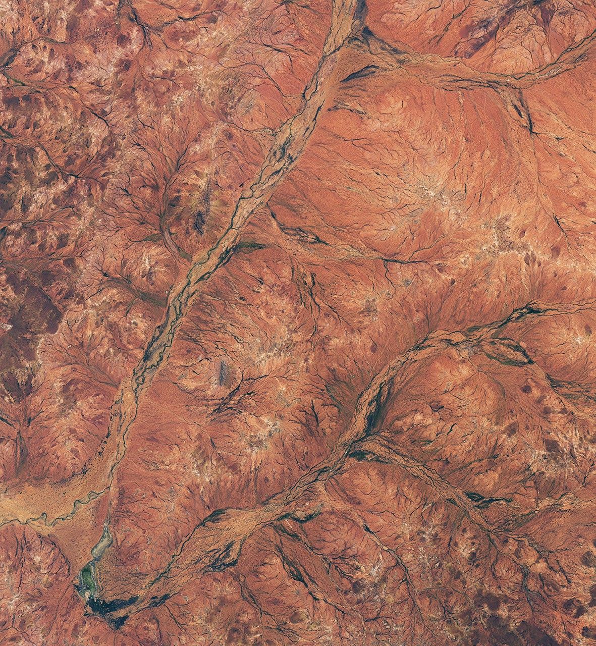 航天图片资料 · Land in the Western Australian outback appears mostly rusty orange but contains areas of green, especially in riverbeds.