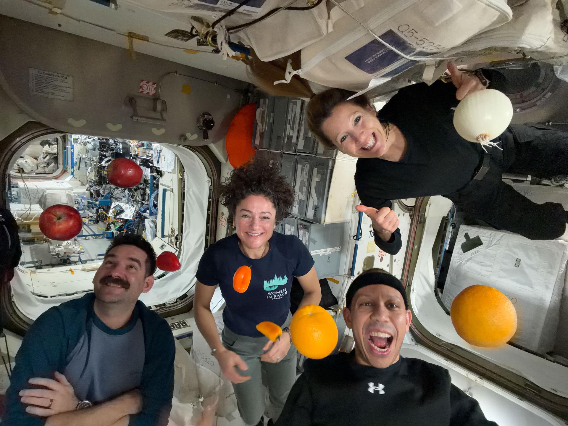 航天图片资料 · Expedition 74 crew members smile as fresh produce floats around them aboard the International Space Station. From left are NASA astronauts Jack Hathaway, Jessica Meir, and Chris Williams, with ESA (European Space Agency) astronaut Sophie Adenot at upper right. Fresh tomatoes, oranges, peppers, and a white onion float around the crew.