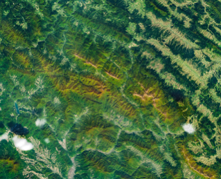 航天图片资料 · A satellite image of mountains in southeastern Poland in autumn. Green and orange forest covers parallel ridges running diagonally across the scene, and tan grasslands stretch along the highest crests.