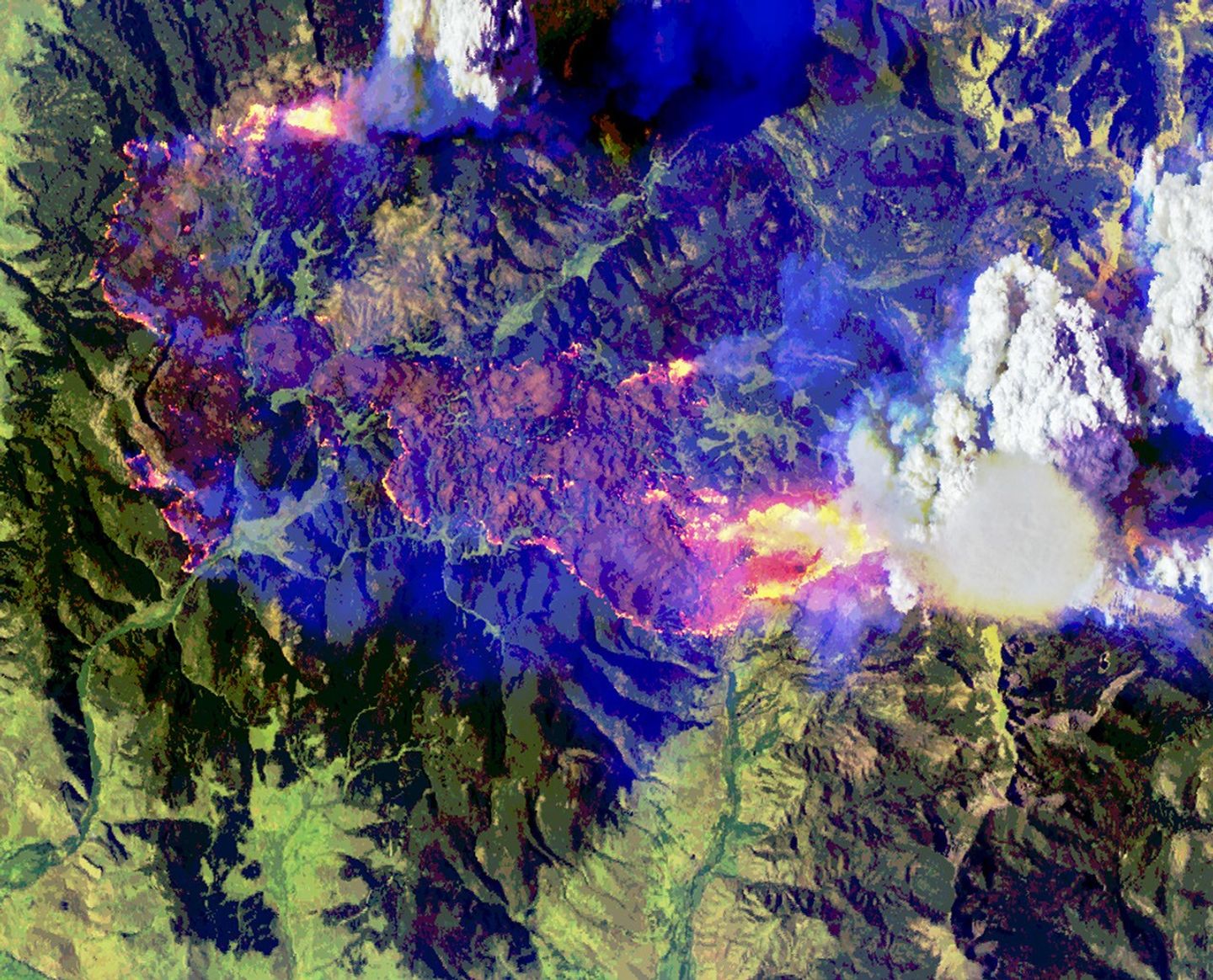 航天图片资料 · False-color aerial image of the same wildfire. Active fire fronts appear bright pink, magenta, and yellow around a large brown burned area. A towering white pyrocumulus cloud rises from the fire at right. A smooth, thin pileus cloud obscures part of its top.