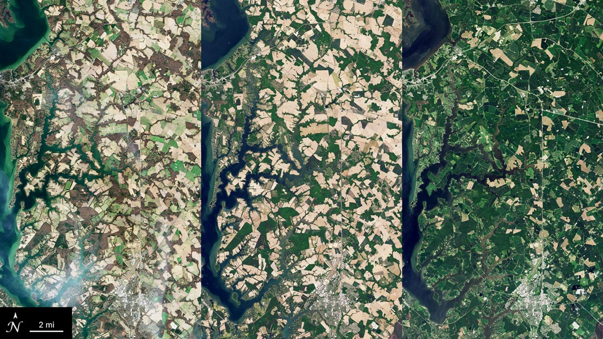 航天图片资料 · Graphic featuring three satellite images of cover crops in various seasons in Maryland. The left image has crop fields of various shades of light brown and tan, the middle image has tan and light green fields, and the image on the right is mostly fields of green with some fields of tan. A blue river cuts through the top left part of each image.