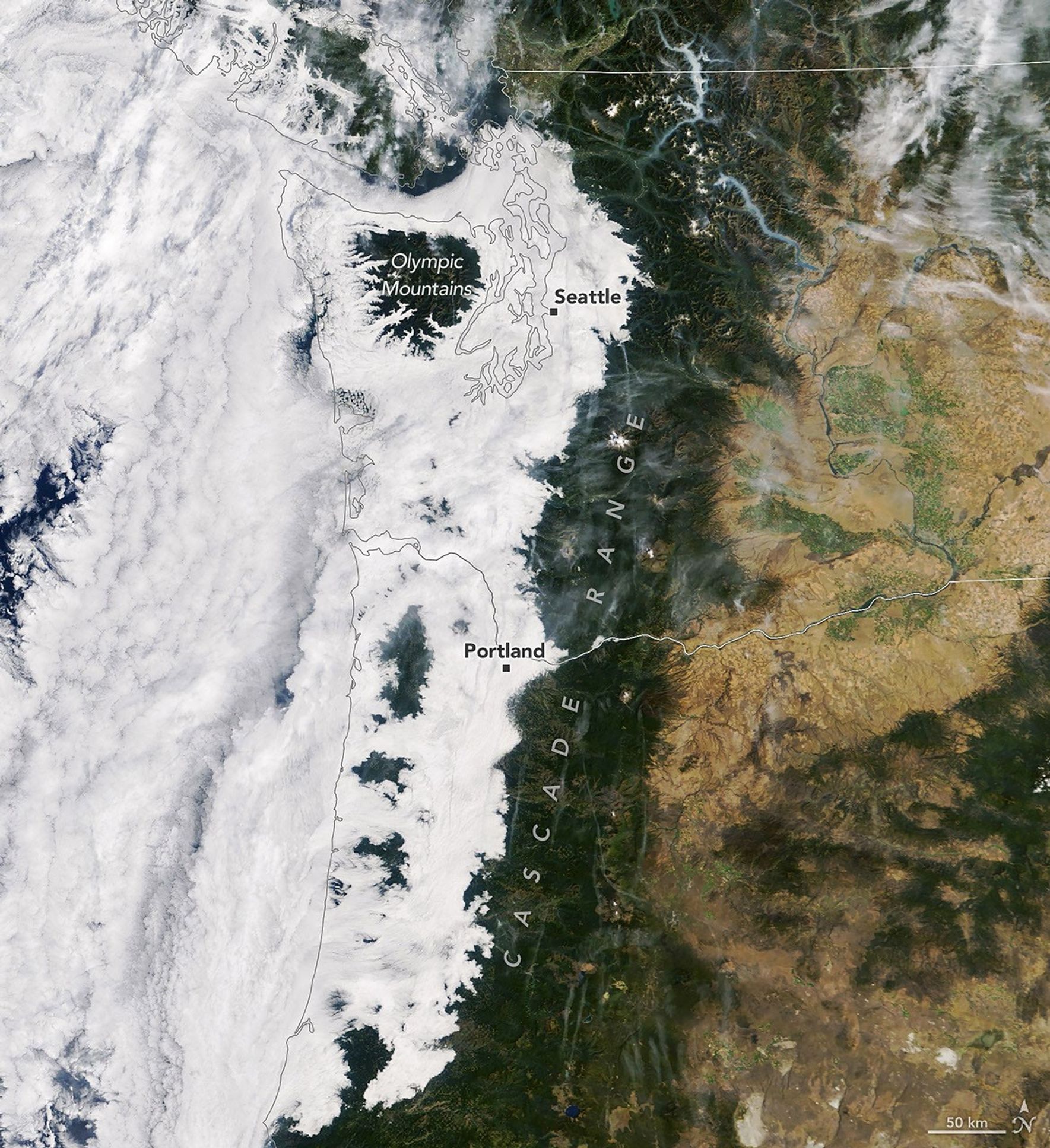 航天图片资料 · Low-lying clouds cover western Washington and Oregon between the Pacific coast and the foothills of the Cascade Range. Parts of the Olympic Mountains and Oregon Coast Range are visible above the clouds.