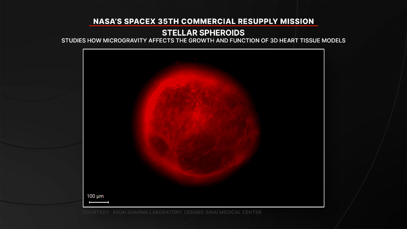 航天图片资料 · Stellar Spheroids examines growth and function of 3D heart tissues models in microgravity. Credit: NASA