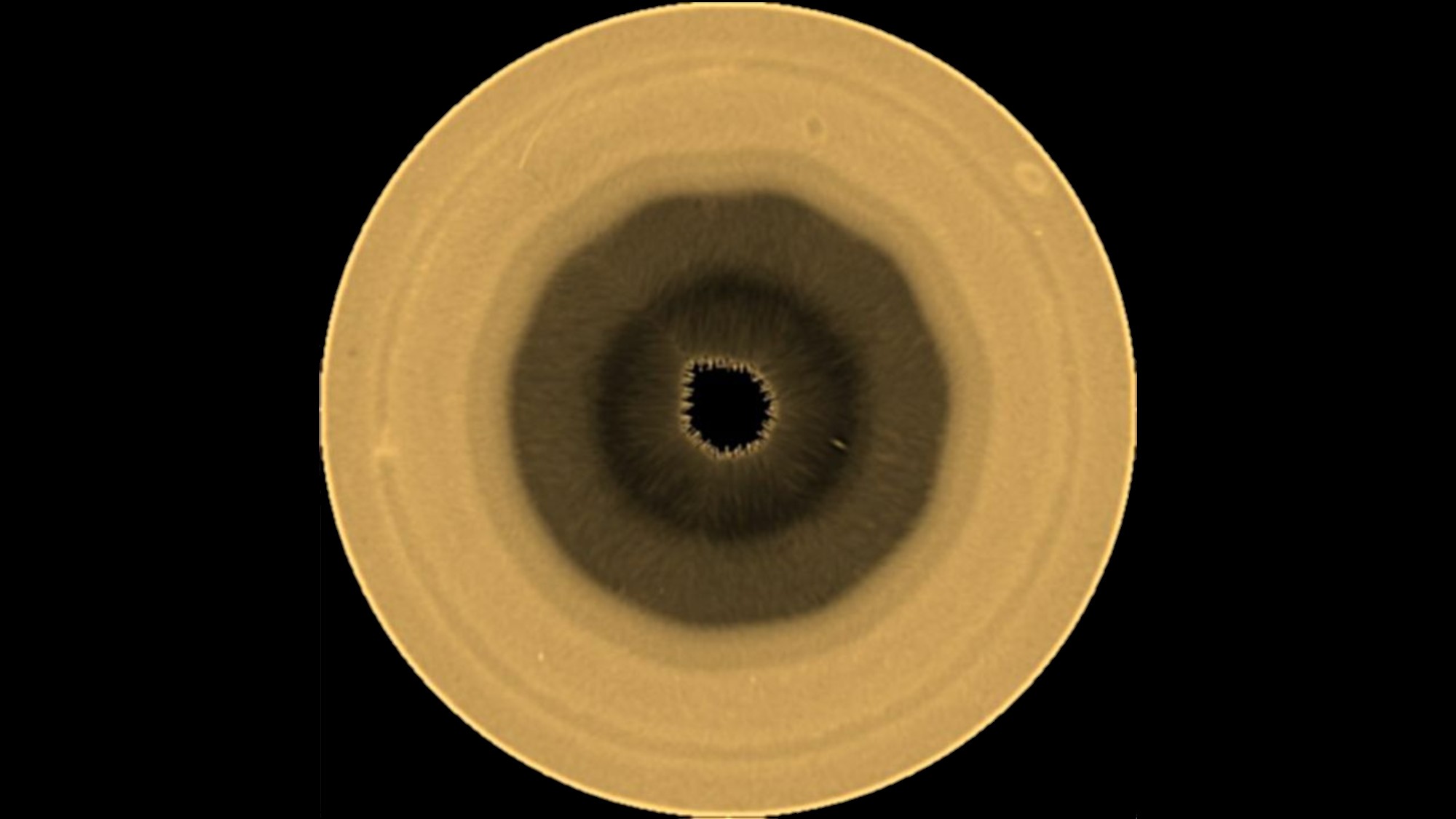 航天图片资料 · a yellow-brown orb with a ten-sided brown splotch in its center