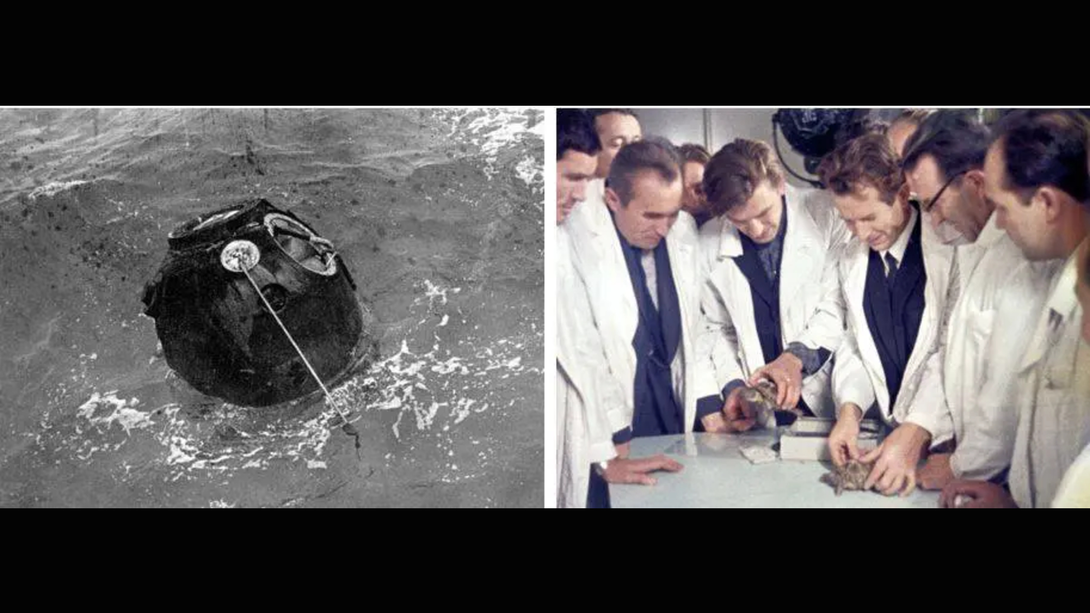 航天图片资料 · The Soviet Zond 5 rentry capsule in the ocean (left), Soviet scientists measure Zond 5 tortoises after their circumlunar flight in September 1968.
